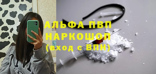 шишки Алзамай
