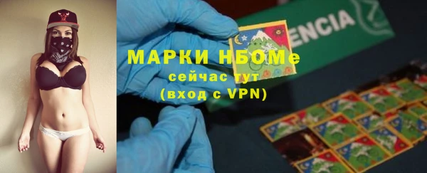 шишки Алзамай