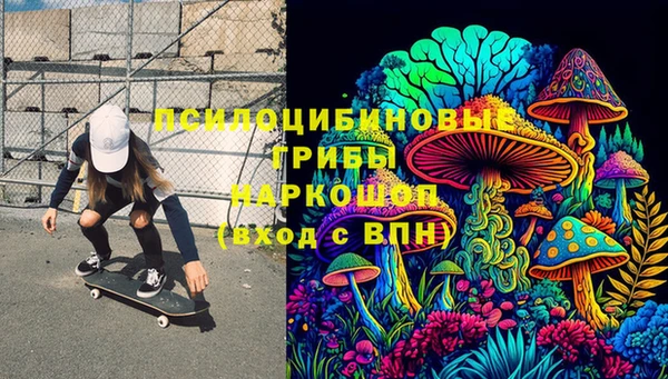 шишки Алзамай
